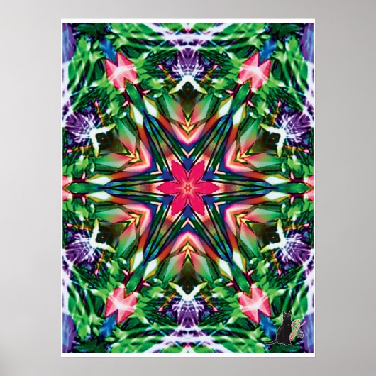 Levendige Kinestetische Collage Kaleidoscoop Poste Poster (Voorkant)