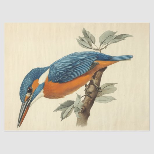 Levendige Kingfisher Waterverf Decoupage Vogelprin Tissuepapier (Voorkant)