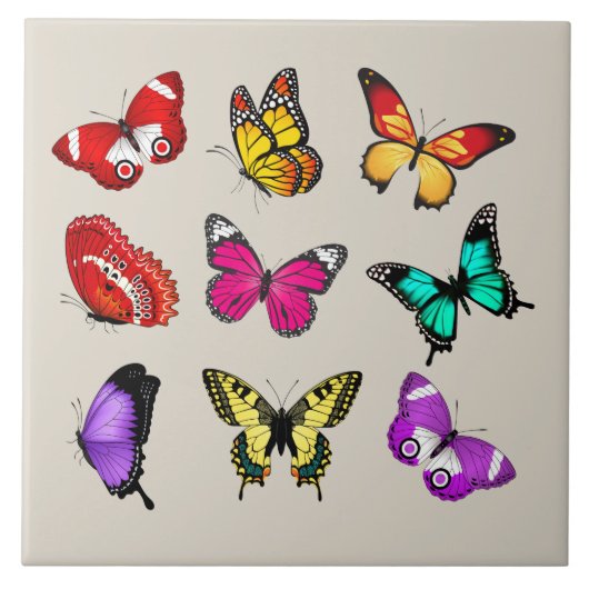Levendige kleur Butterflies Tegeltje (Voorkant)