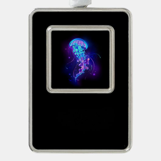 Levendige kleur gloeiende kwal verzilverd omlijst ornament (Voorkant)