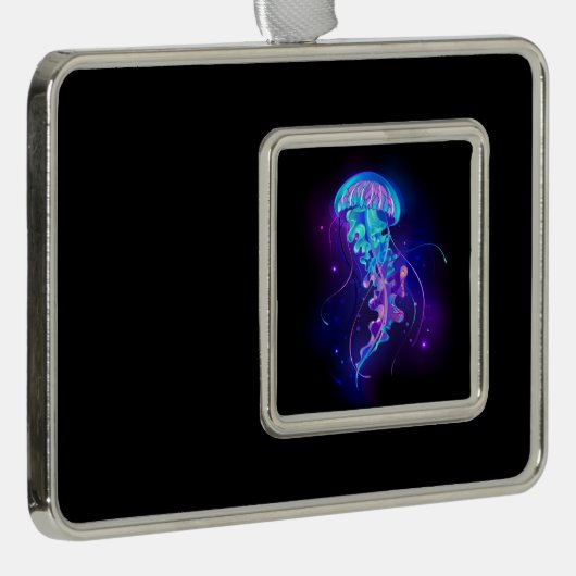 Levendige kleur gloeiende kwal verzilverd omlijst ornament (Rechts)