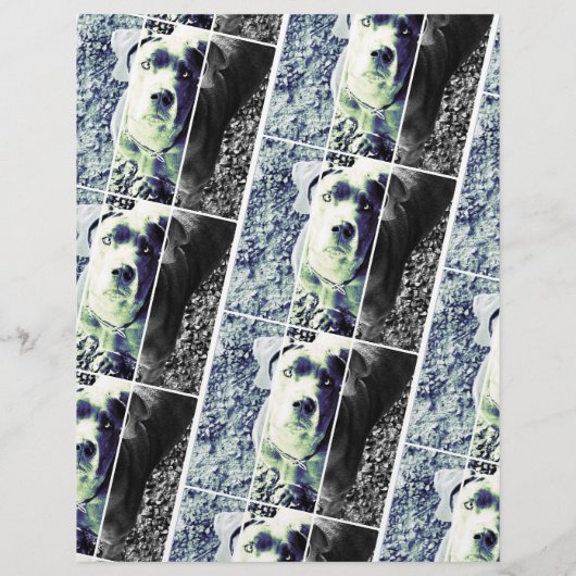 Levendige kleuren die flyer verkopen (Achterkant)