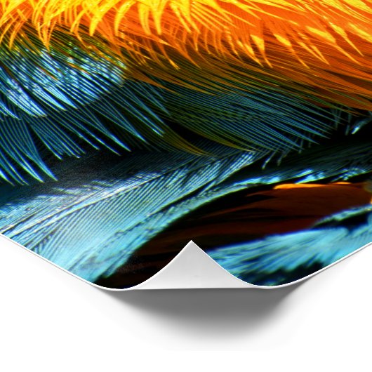 Levendige kleurrijke ara perfect poster (Hoek)