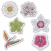 Levendige kleurrijke handgetekende wilde bloem & s sticker (Voorkant)