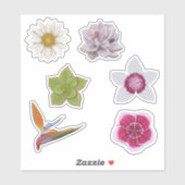 Levendige kleurrijke handgetekende wilde bloem & s sticker (Vel)