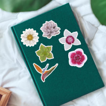 Levendige kleurrijke handgetekende wilde bloem & s