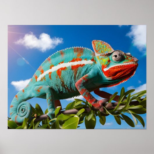 Levendige kleurrijke kameleon op een blauwe achter poster (Voorkant)
