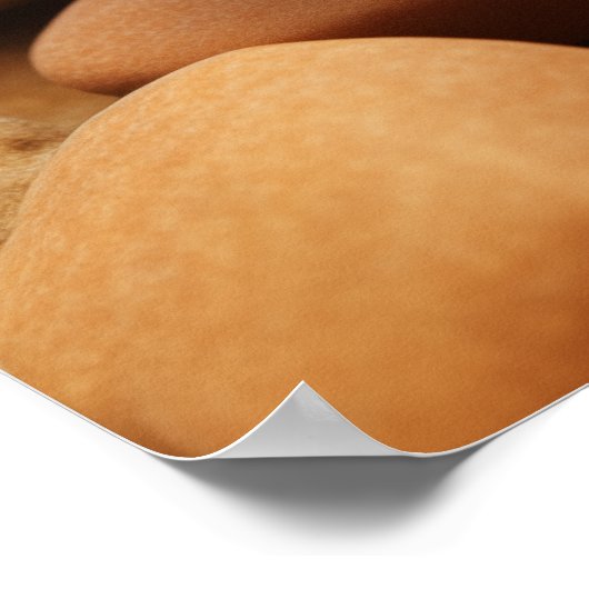 Levendige kleurrijke Scorpion's Portret #1 Poster (Hoek)