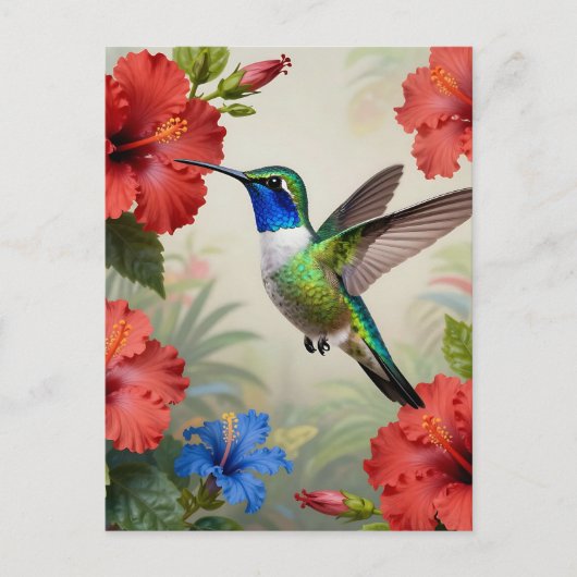 Levendige Kolibrie Hibiscus Bloem Briefkaart (Voorkant)