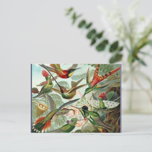 Levendige  kolibries kunst exotisch tropisch briefkaart (Staand voorkant)