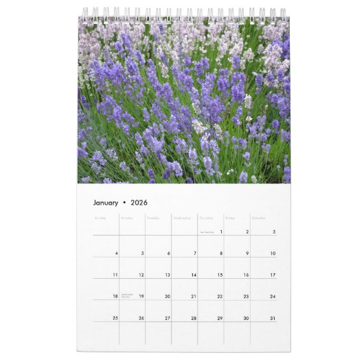 Levendige lavendel bloemen kalender (Jan 2026)