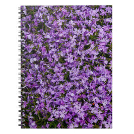 Levendige Lentefloxbloemen – Natuurlijke Bloemenfo Notitieboek
