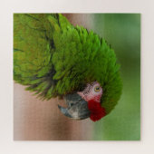 Levendige Macaw Parrot in profiel Uitzicht Legpuzzel (Horizontaal)