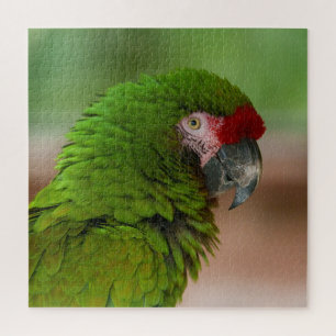 Levendige Macaw Parrot in profiel Uitzicht Legpuzzel