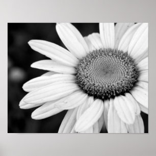 levendige macro - zwart - witte fotografie floral poster