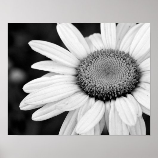 levendige macro - zwart - witte fotografie floral poster (Voorkant)