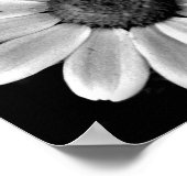 levendige macro - zwart - witte fotografie floral poster (Hoek)