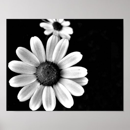 levendige macro - zwart - witte fotografie floral poster (Voorkant)
