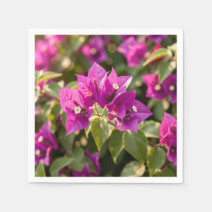Levendige Magenta Paarse Bougainvillea Bloei  Servet