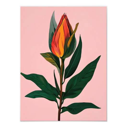 Levendige Magnolia Bud Foto Afdruk (Voorkant)
