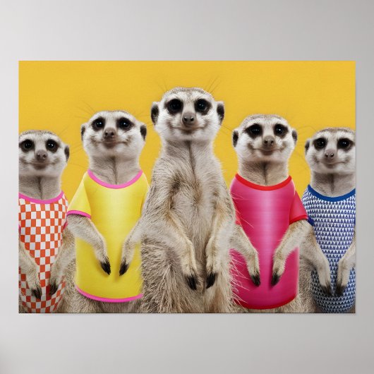 Levendige Meerkat Group in stijlvolle outfits Poster (Voorkant)