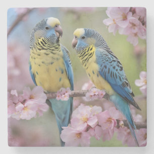 Levendige metgezellen: blauwe en gele budgies stenen onderzetter