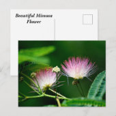 Levendige Mimosa-bloem Briefkaart (Voorkant / Achterkant)