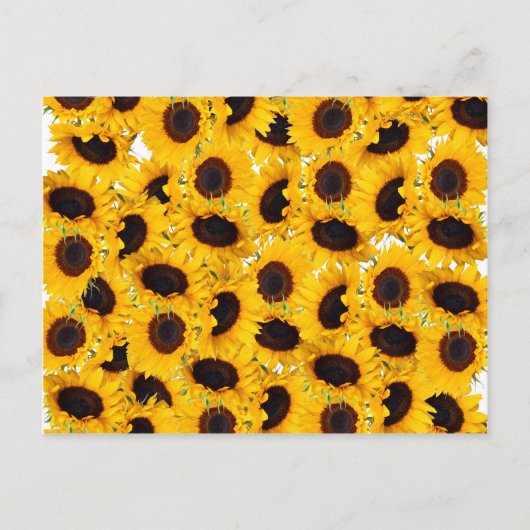 Levendige mooie zonnebloemen Natuur Floral Pattern Briefkaart (Voorkant)