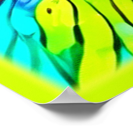 Levendige oogkunst poster (Hoek)