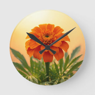Levendige oranje afrikaantje bloem gouden zonsonde ronde klok