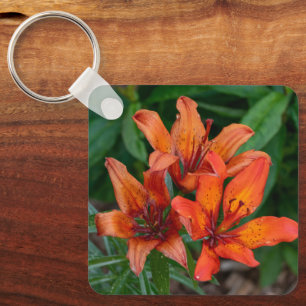Levendige oranje bloesems, daglelies sleutelhanger