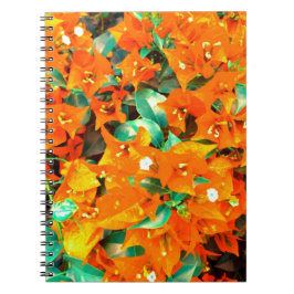 Levendige oranje bougainvillea bloemen notitieboek