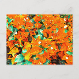 Levendige oranje bougainvilleabloemen briefkaart