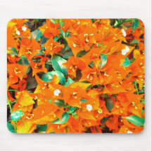 Levendige oranje bougainvilleabloemen