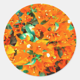 Levendige oranje bougainvilleabloemen ronde sticker