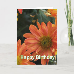 Levendige oranje dagbloemen gefeliciteerd met hun  kaart