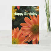 Levendige oranje dagbloemen gefeliciteerd met hun  kaart (Voorkant)