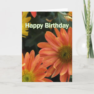 Levendige oranje dagbloemen gefeliciteerd met hun  kaart