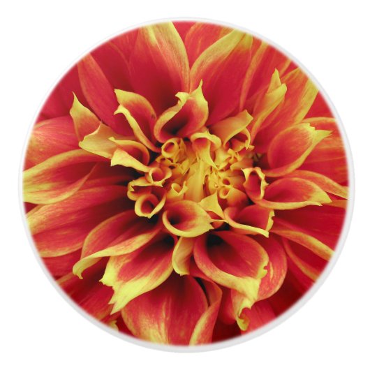 Levendige Oranje Dahlia Closeup Ladeknop Keramische Knop (Voorkant)