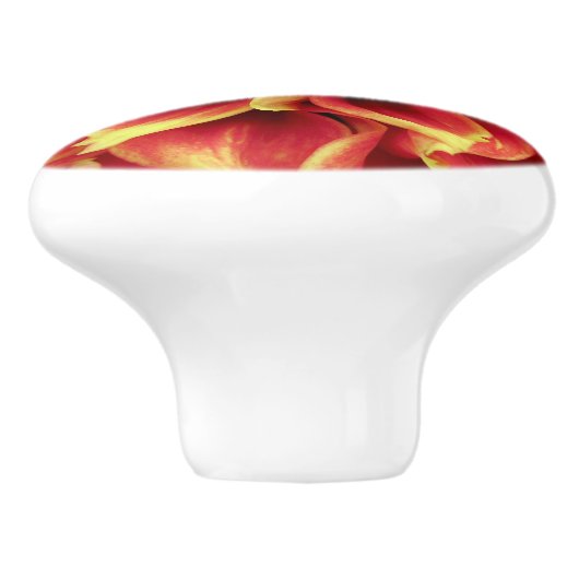 Levendige Oranje Dahlia Closeup Ladeknop Keramische Knop (Zijkant)