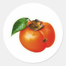 Levendige oranje kaki fruitsticker met groen