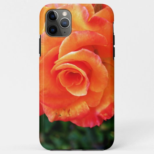 Levendige Oranje Roos Foto Case-Mate iPhone Case (Achterkant)