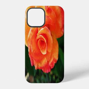 Levendige Oranje Roos Foto iPhone 12 Hoesje