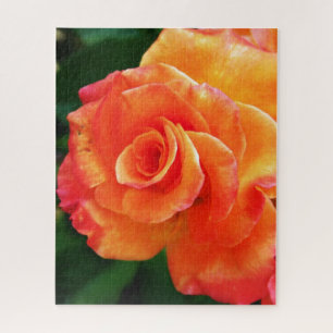 Levendige Oranje Roos Foto Legpuzzel