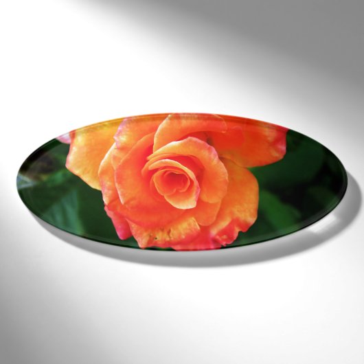 Levendige Oranje Roos Foto Naambadge (Voorkant)
