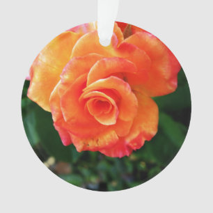Levendige Oranje Roos Foto Ornament