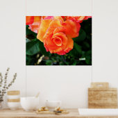 Levendige Oranje Roos Foto Poster (Keuken)
