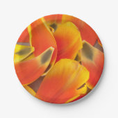 Levendige Oranje Tulp foto Papieren Bordje (Voorkant)