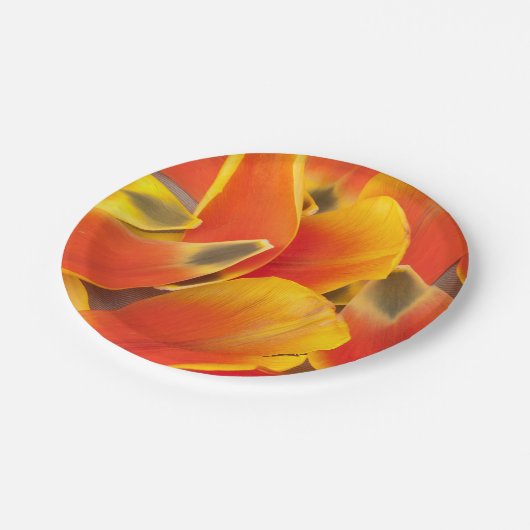 Levendige Oranje Tulp foto Papieren Bordje (Gekanteld)