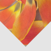 Levendige Oranje Tulpenbloemblaadfoto bij elke gel Tissuepapier (Detail)